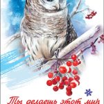 Открытка, Ты делаешь этот мир прекрасней! (сова на ветке рябины), 10*15 см, 1 шт.