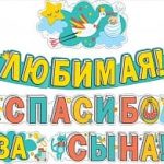 Гирлянда, Любимая, Спасибо за сына! (аист), 310 см