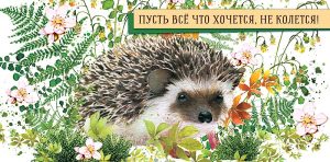 Конверты для денег Пусть все, что хочется, не колется!, 1шт.