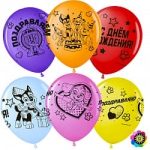 Шар (12''/30 см) Щенячий Патруль, Поздравляем!, Ассорти, пастель, 4 ст, 50 шт.