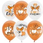 Шар М 12"/30см WHITE&ORANGE 1ст.2цв.Корги ДР