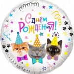 Шар (18''/46 см) Круг, Котики, С Днем Рождения!, 1 шт. в упак.