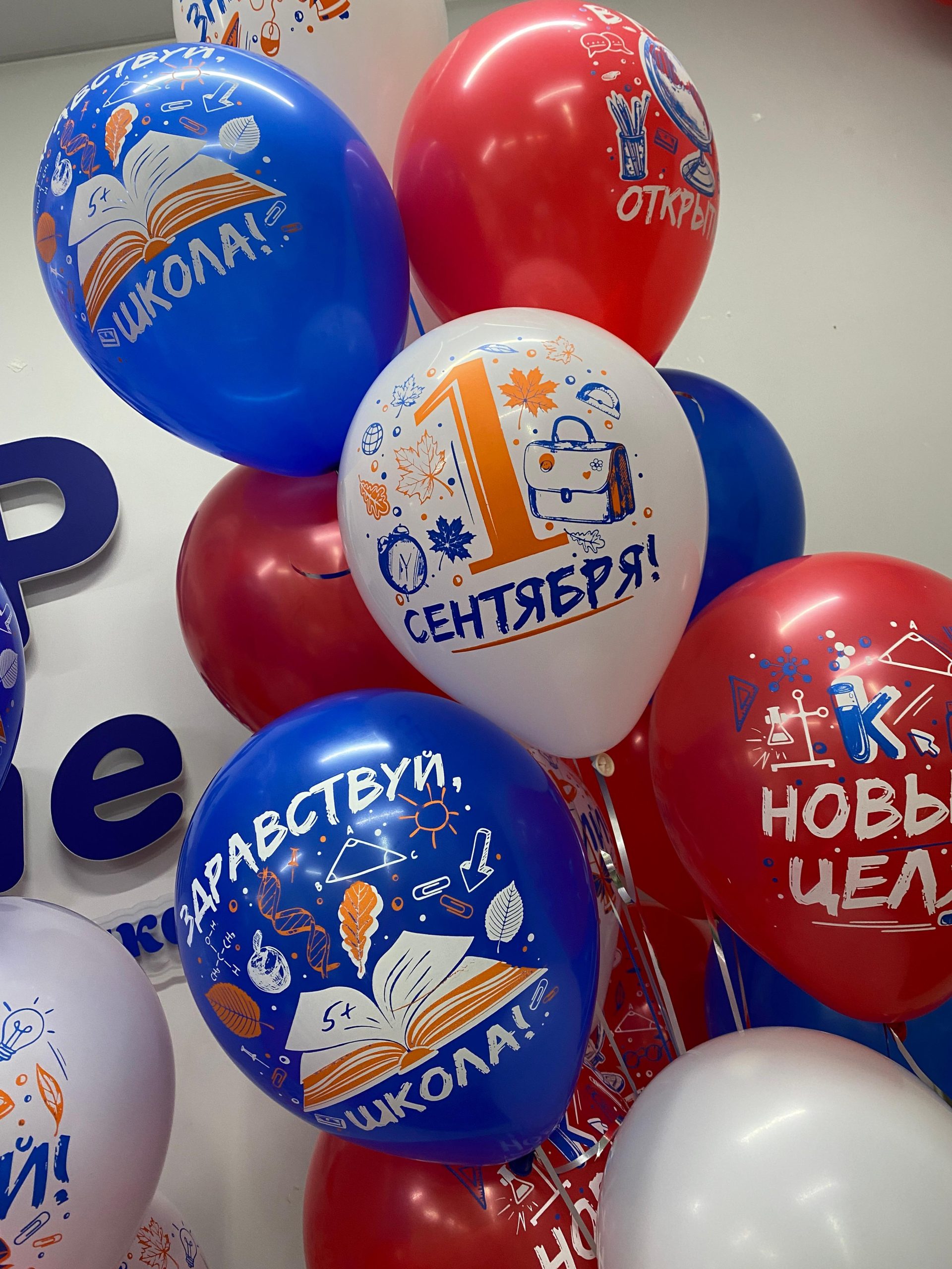 Набор №221 День знаний